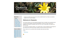Desktop Screenshot of cleasanta.com